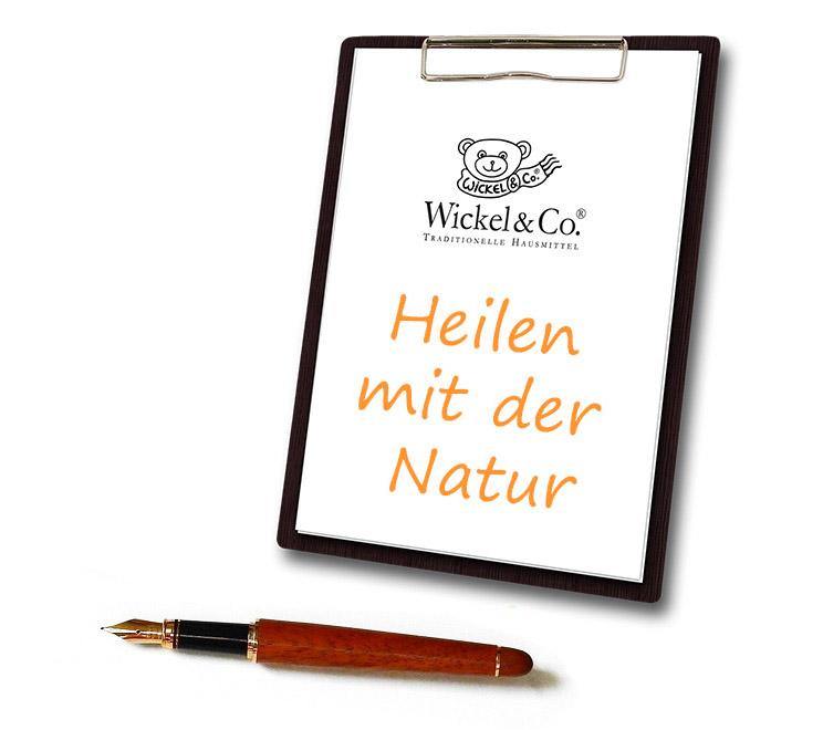 Seminare und Webinare - Wickel & Co.®