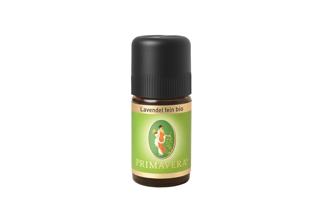 Lavendel fein bio