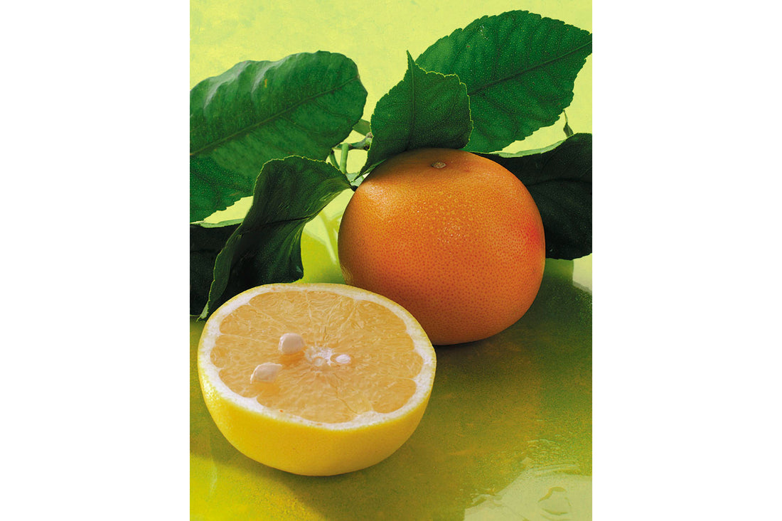 Grapefruit bio